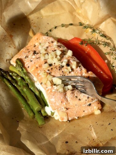 Salmon en papillote with vegetables