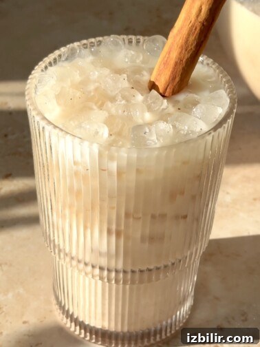 Authentic Mexican Horchata Recipe 2 Mexican Horchata