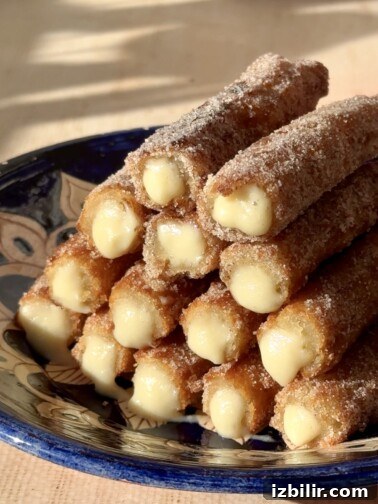 Vanilla Custard-Stuffed Churros