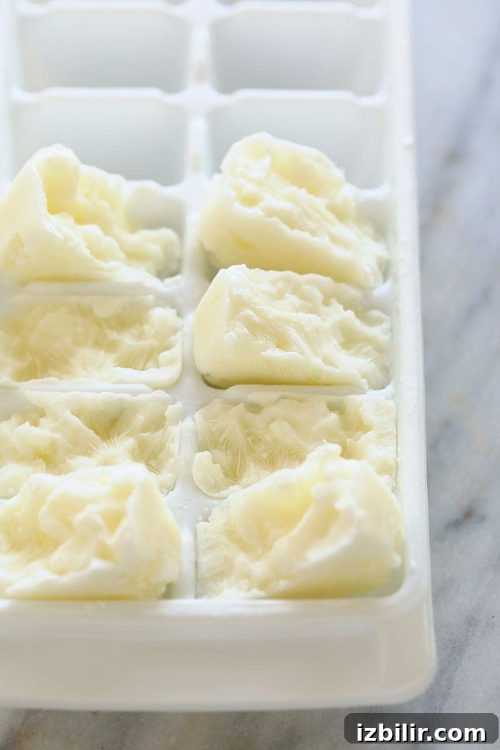 frozen greek yogurt in ice cube trays