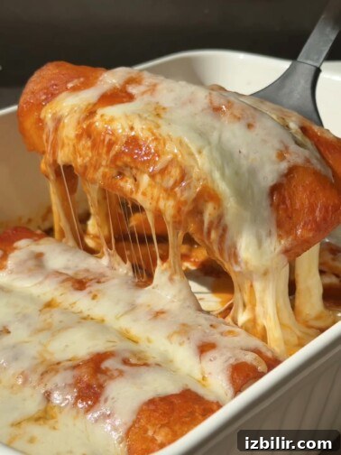 Enchiladas Rojas de Queso