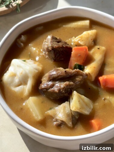 Soup Joumou (Haitian Pumpkin Soup) Recipe 2 Bowl of Soup Joumou with beef and vegetables