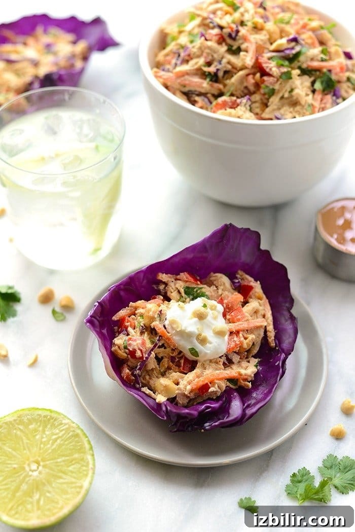 Thai Peanut Chicken Salad