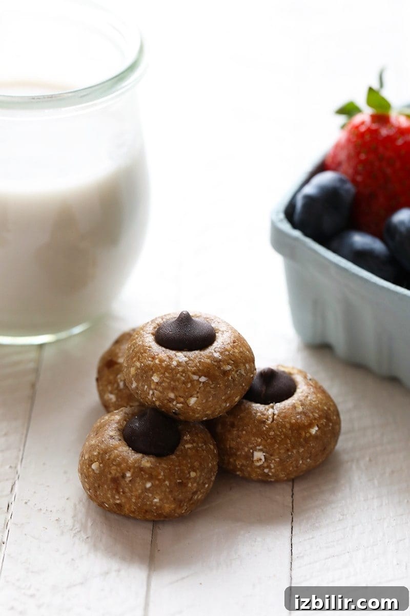 No-Bake Chocolate Cashew Lactation Cookies