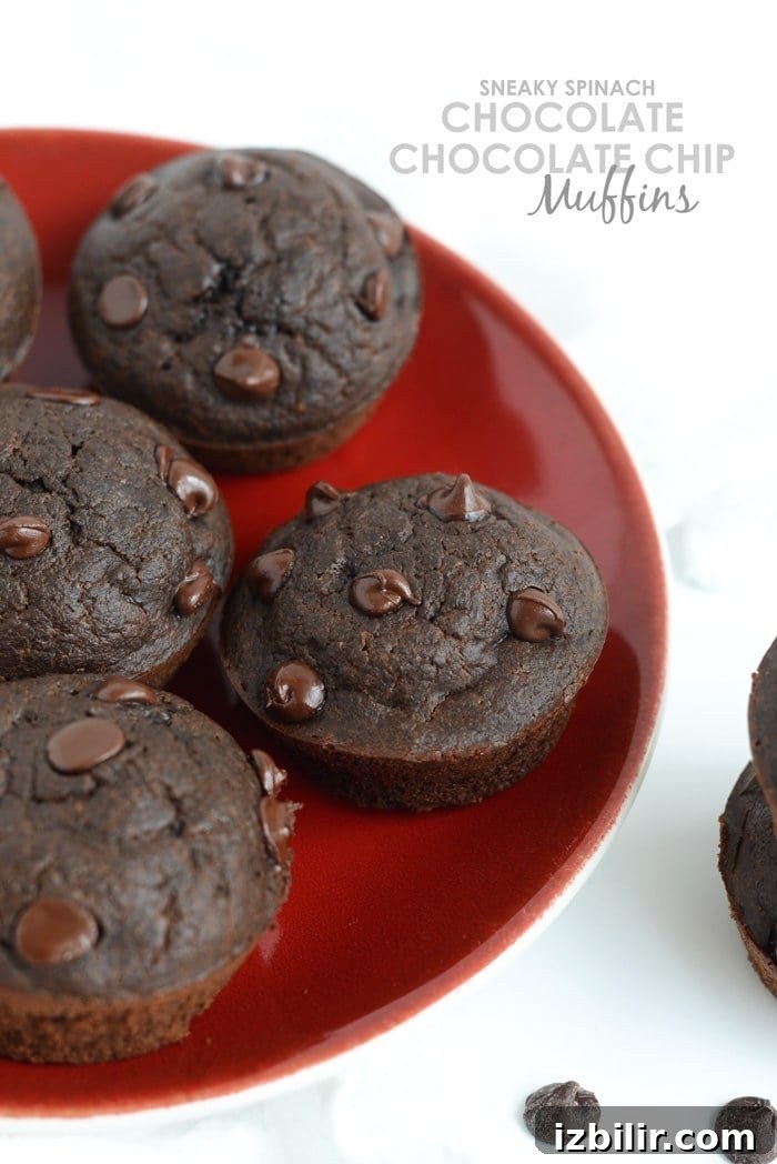 Sneaky Spinach Chocolate Chip Muffins