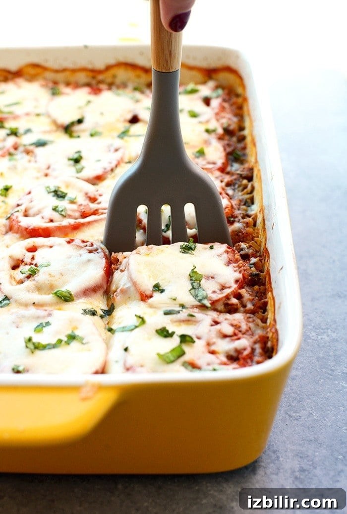 Naked Spinach Quinoa Lasagna