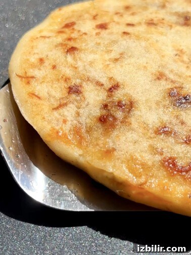 Cheese and Barbacoa Pupusas | Salvadoran Recipe 2 Cheese and barbacoa pupusas on a griddle