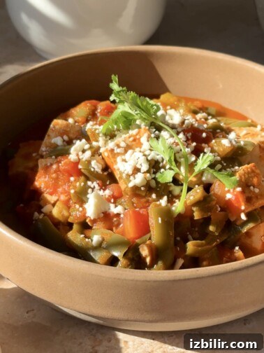 Nopales stew with tofu