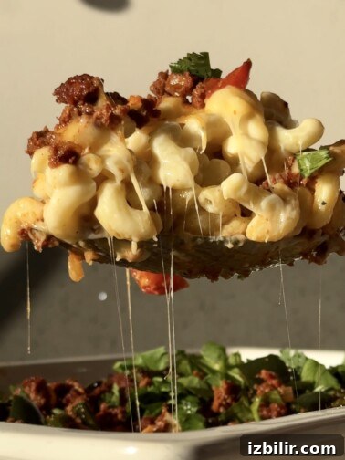 Queso Fundido Mac N Cheese