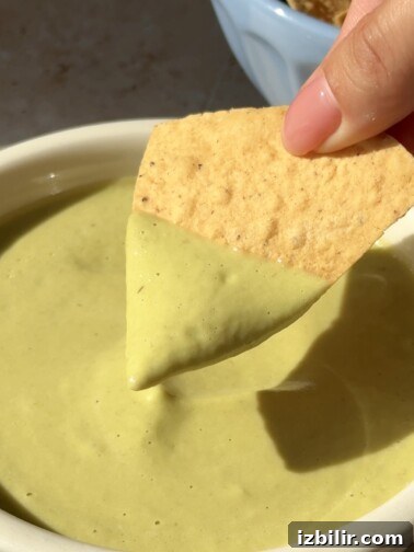 Creamy Jalapeño Serrano Salsa
