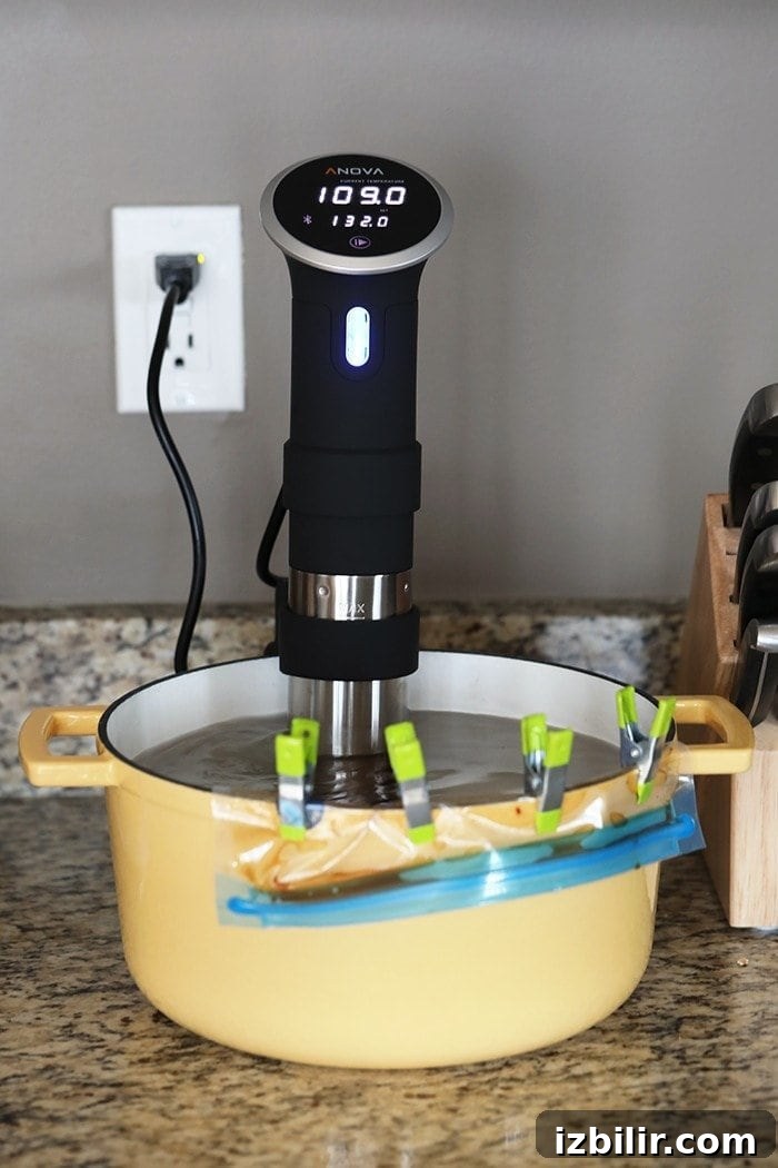 Mongolian sous vide beef