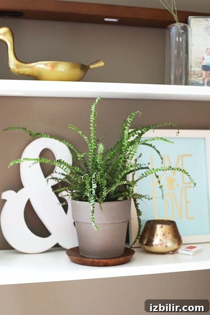 Workspace Tour: Welcome Home, DaFunkShow 4 This amazing ladder desk is the perfect workspace for a small space and super reasonably priced at West Elm!