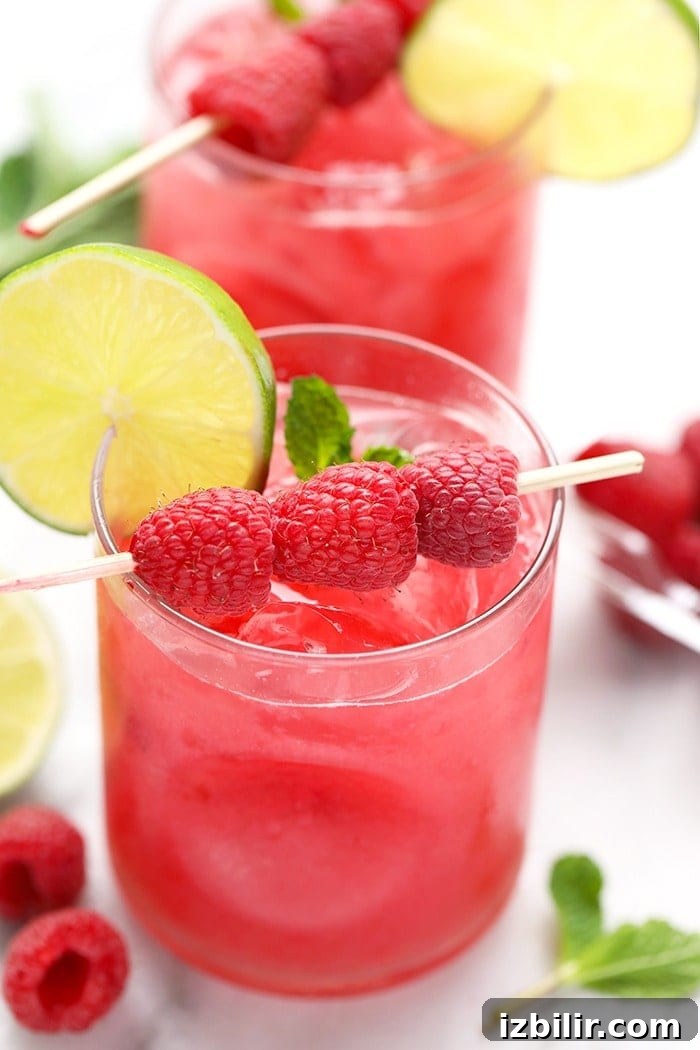 Raspberry ginger mojito