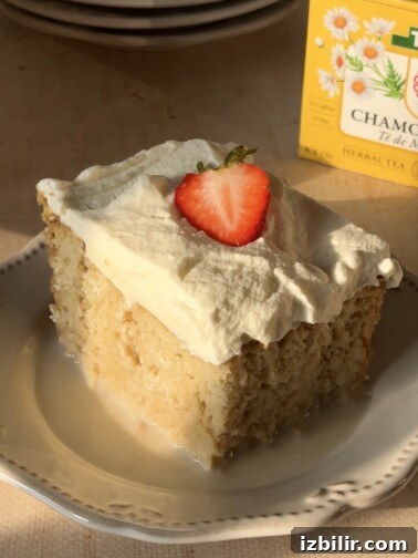 Chamomile Tres Leches Cake — a moist sponge cake topped with whipped cream and strawberries