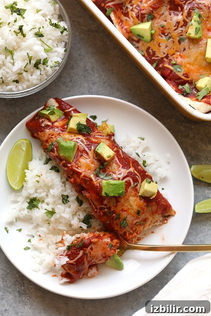 healthy chicken enchiladas on a plate