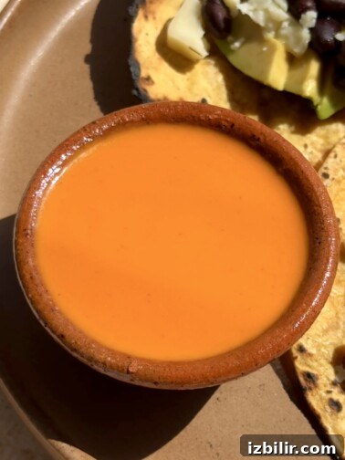 Bowl of orange salsa taquera made with fried tomatoes, tomatillos and dried chiles