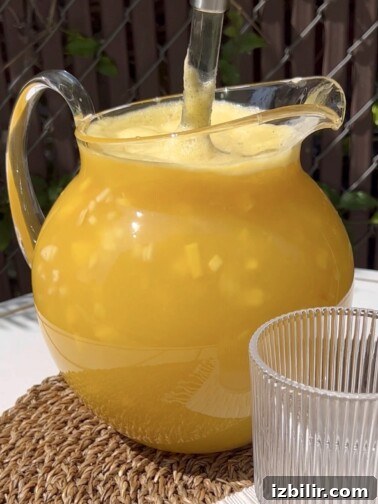 Refresco de Ensalada drink with fruit pieces