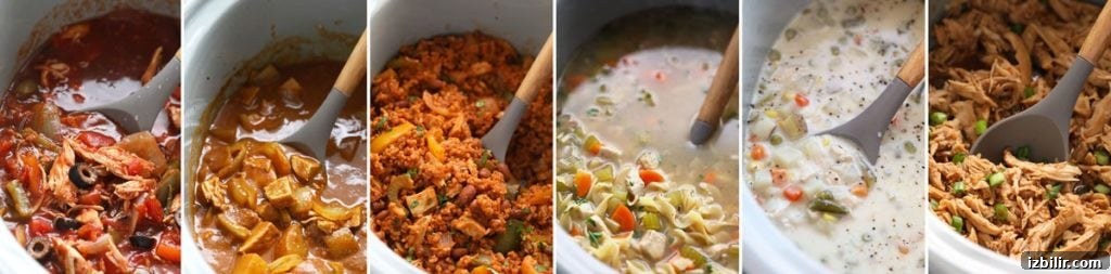 Crockpot Shredded Chicken for Tacos and Sandwiches 5 crockpot chicken recipes