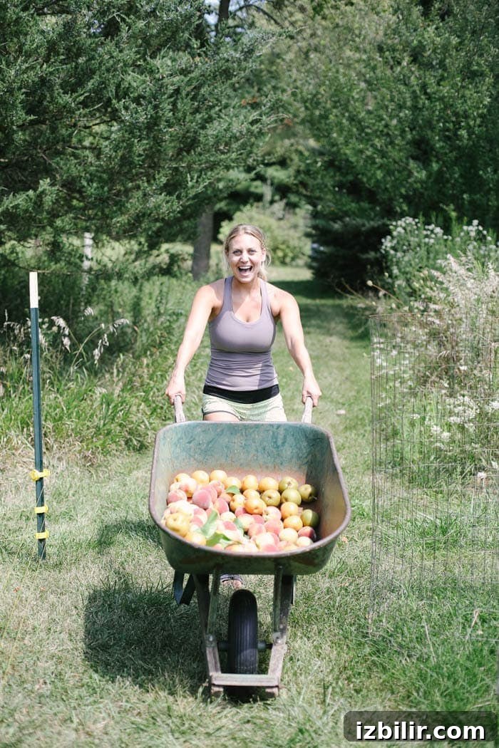 Illinois Peach Harvest: Seasonal Recipes to Try Now 4 Fit Foodie Travels: Peach Harvest in IL + Seasonal Recipes to Make Right Now!