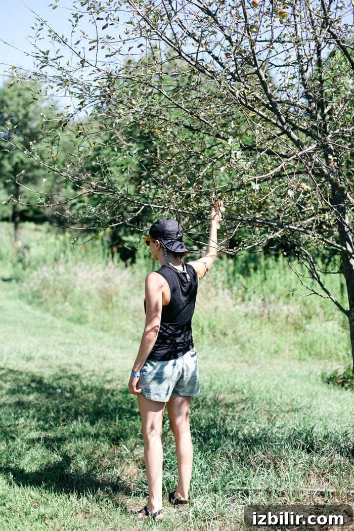 Illinois Peach Harvest: Seasonal Recipes to Try Now 5 Fit Foodie Travels: Peach Harvest in IL + Seasonal Recipes to Make Right Now!