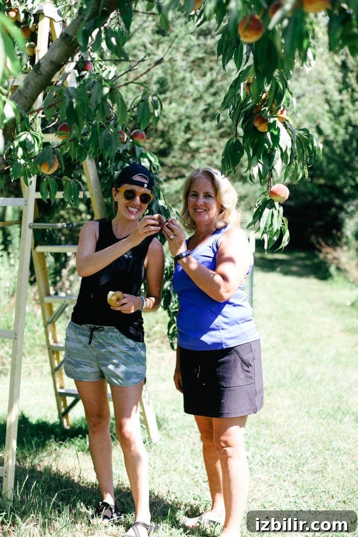 Illinois Peach Harvest: Seasonal Recipes to Try Now 6 Fit Foodie Travels: Peach Harvest in IL + Seasonal Recipes to Make Right Now!