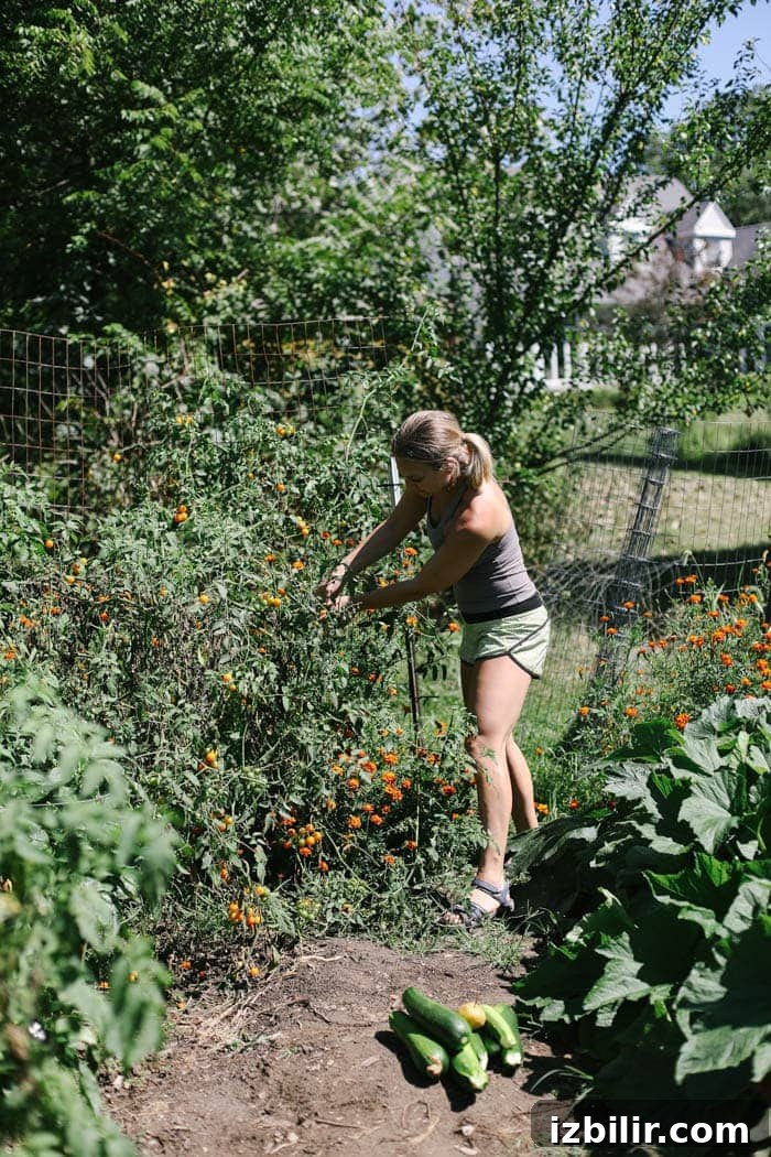 Illinois Peach Harvest: Seasonal Recipes to Try Now 10 img 34029 9
