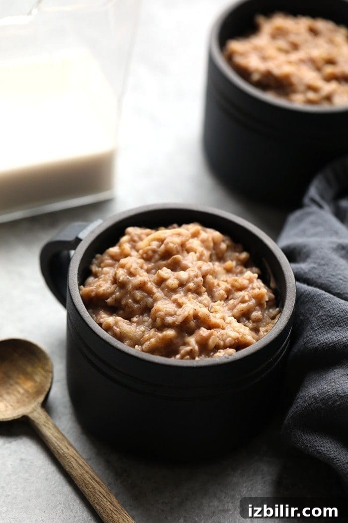 Slow Cooker Apple Cinnamon Oatmeal apple cinnamon oatmeal in cup