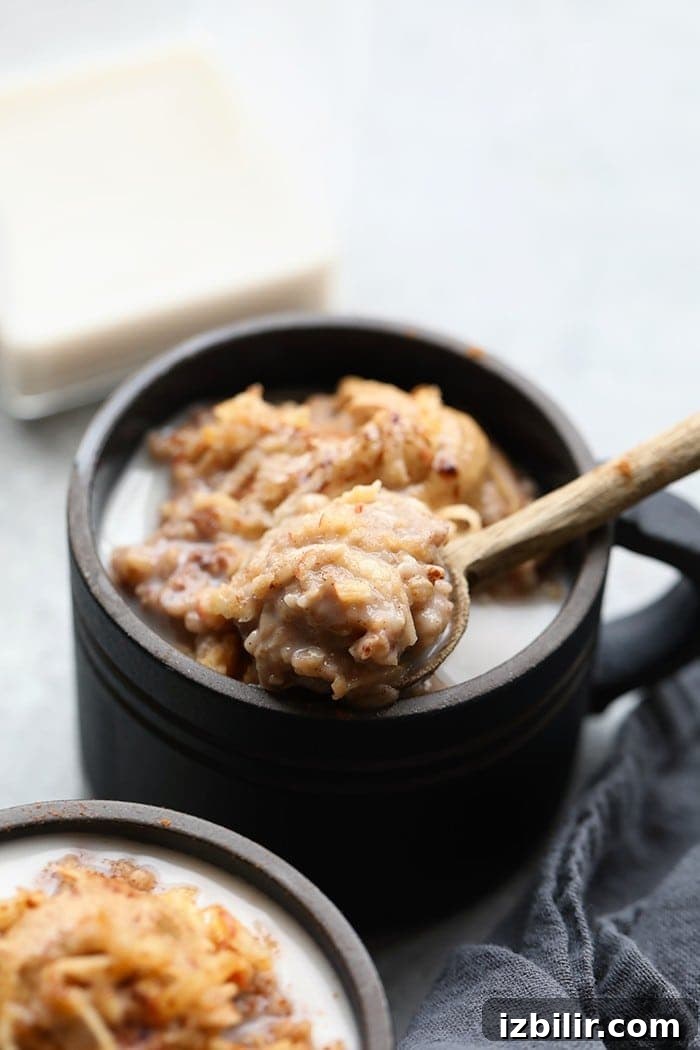 Steel cut oatmeal spoonful steel cut oatmeal on spoon