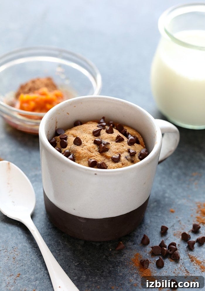 Single-Serve Pumpkin Mug Cake Recipe 2 img 34454 1