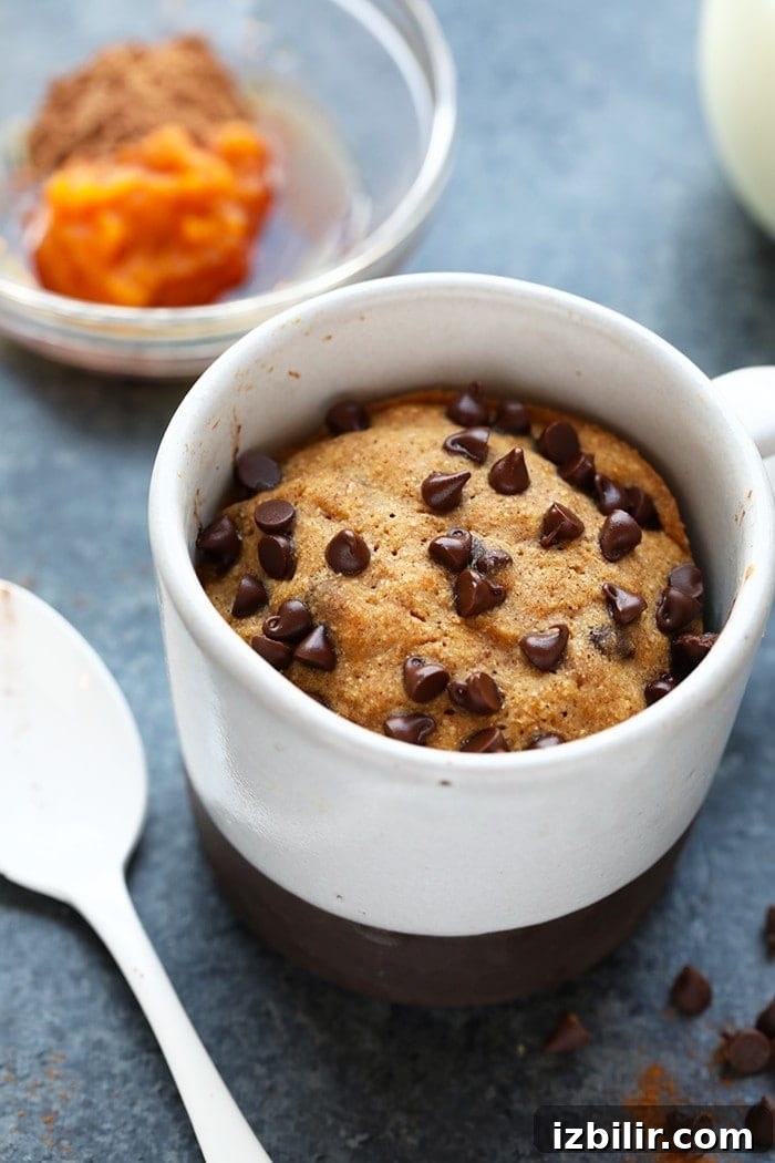 Single-Serve Pumpkin Mug Cake Recipe 4 This Single-Serve Healthy Pumpkin Mug Cake with Chocolate Pumpkin Frosting is the perfect fall dessert when you just need a little something after dinner!