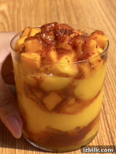 Creami Mangoneada in a cup with chamoy and Tajín