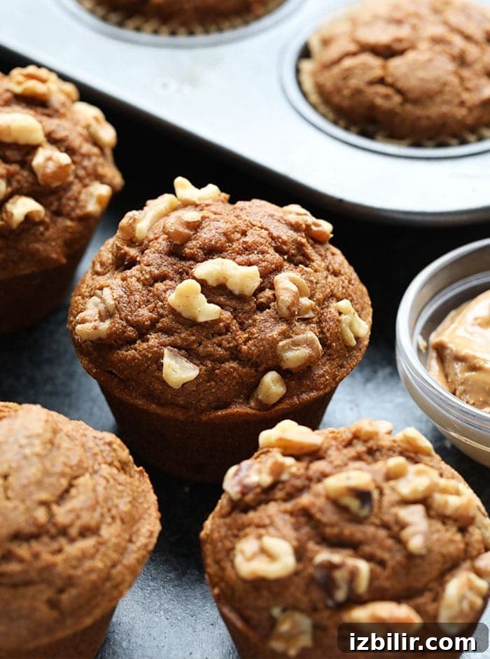 Healthy pumpkin muffins healthy pumpkin muffins on the counter top