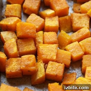 Butternut Squash