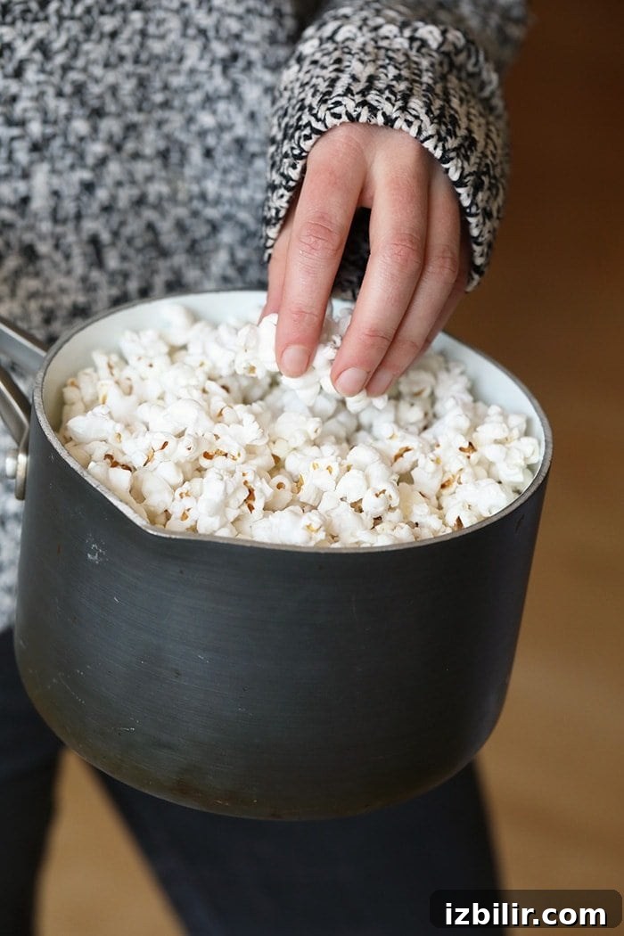 Popped Popcorn in a pot