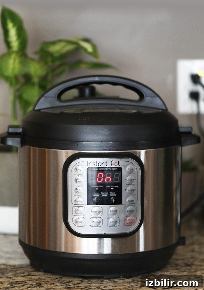 A photo of an instant pot