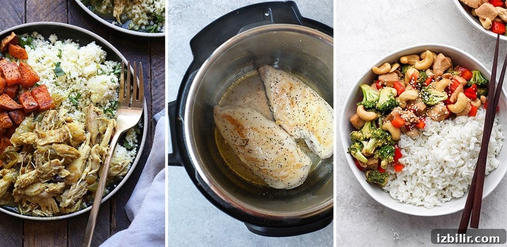 Healthy Instant Pot dinner recipes