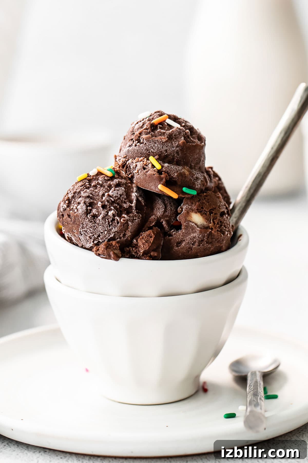 Chocolate ice cream in a white bowl with sprinkles.
