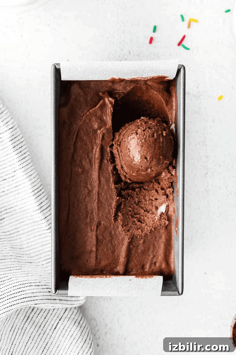 Chocolate ice cream in a box with sprinkles.