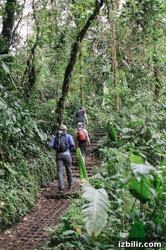hiking