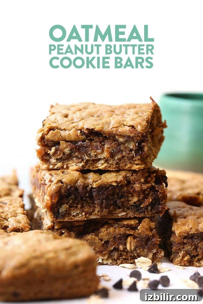 Oatmeal Peanut Butter Cookie Bars