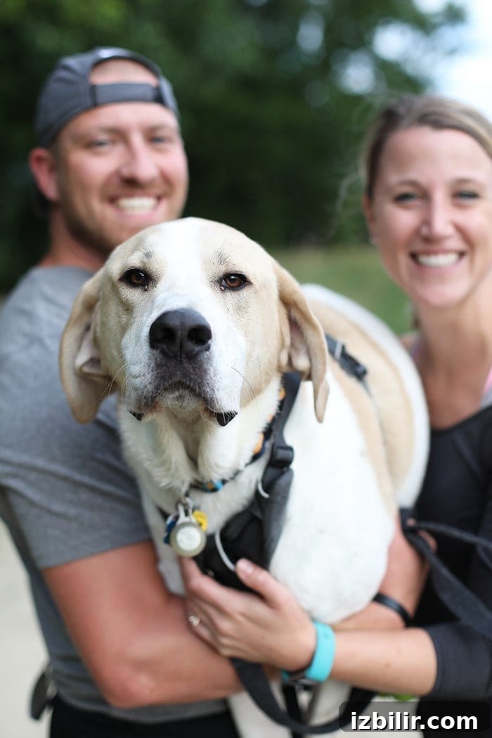 Today we're introducing you to our newest full-time team member, Emily Richter! Emily has been with Fit Foodie Finds for almost 3 years and this week she finally joined us full-time. Check it out! thor