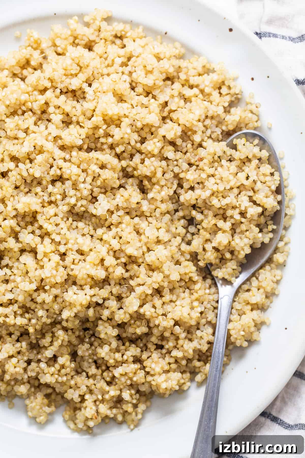 Cooked quinoa on a plate. Cooked quinoa on a plate.