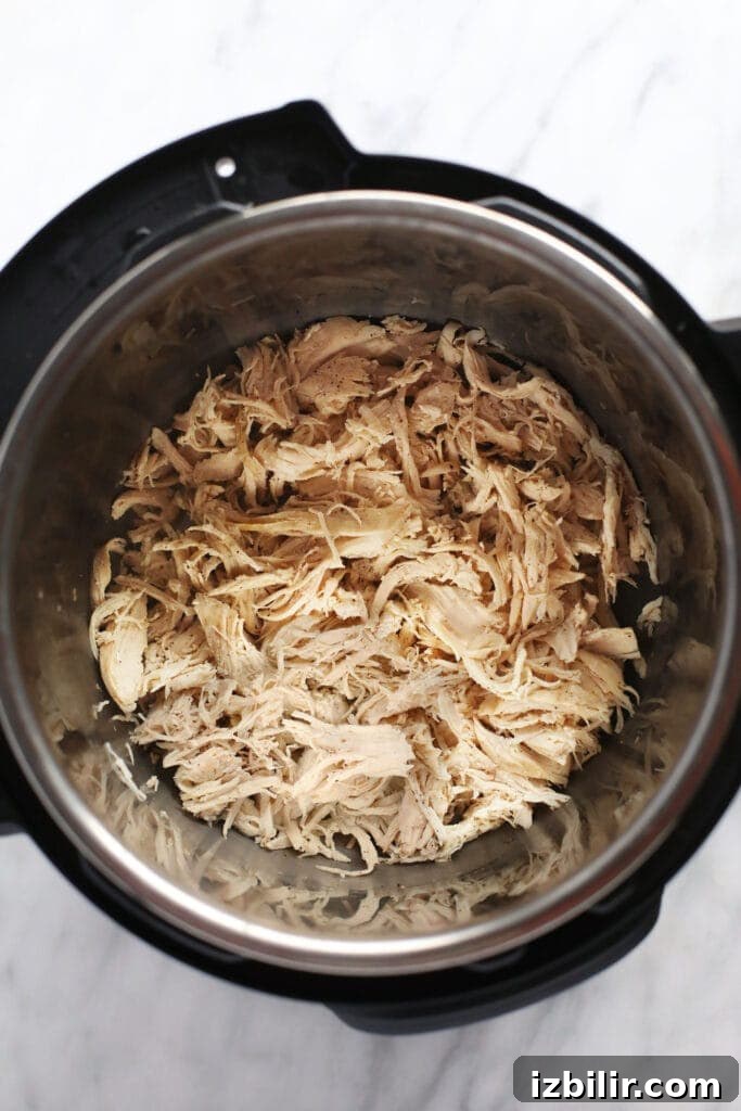 shredded chicken in instant pot.