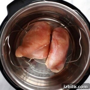 raw chicken in instant pot.