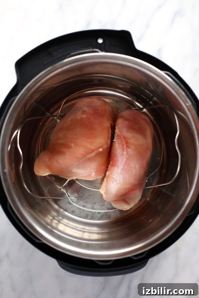 raw chicken breasts in the instant pot ready to be cooked and then shredded.