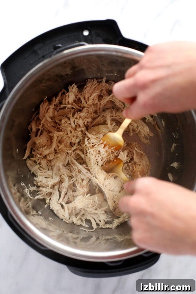 two forks shredding instant pot chicken breasts into shredded chicken.