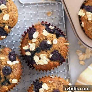 Moist Fluffy Blueberry Muffins Recipe 3 blueberry oatmeal muffins