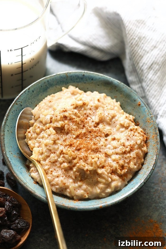 Creamy Brown Rice Pudding Recipe 2 Bowl of brown rice pudding with cinnamon