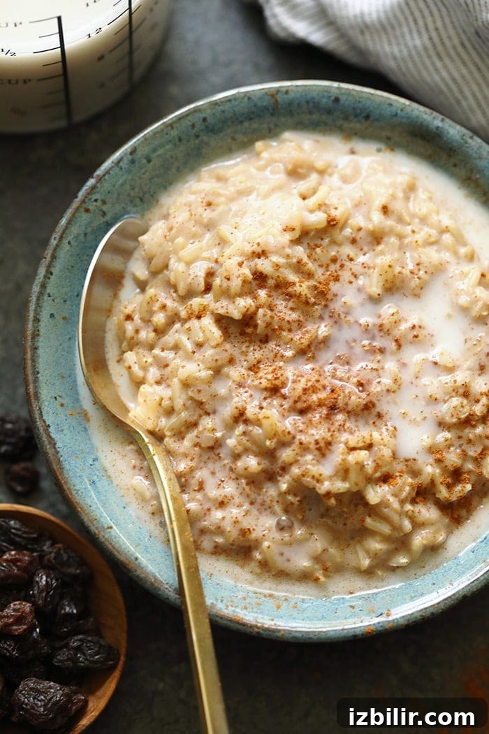 Creamy Brown Rice Pudding Recipe 4 Rice pudding served in a bowl