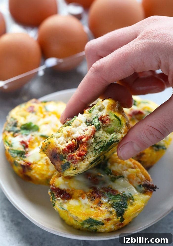 spinach egg muffins